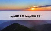 csgo辅助卡盟（cago辅助卡盟）