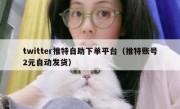 twitter推特自助下单平台（推特账号2元自动发货）