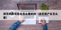 派币的真实姓名怎么看的到（派币用户名怎么看）