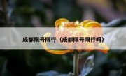 成都限号限行（成都限号限行吗）