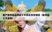 国产服务器品牌前十大排名榜有哪些（服务器三大品牌）