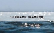 什么是网易支付（网易支付是啥）