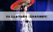 手机怎么查汽车限号（怎样查车辆限号）