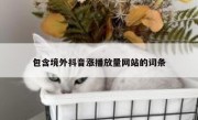 包含境外抖音涨播放量网站的词条