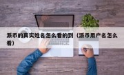 派币的真实姓名怎么看的到（派币用户名怎么看）
