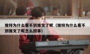 推特为什么看不到推文了呢（推特为什么看不到推文了呢怎么回事）