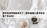 派币电话号码验证不了（派币被别人用手机注册了怎么办）
