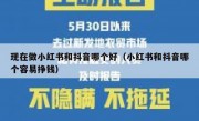 现在做小红书和抖音哪个好（小红书和抖音哪个容易挣钱）