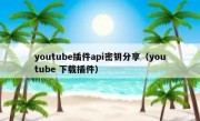 youtube插件api密钥分享（youtube 下载插件）