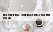 抖音粉丝量查询（在哪里可以查抖音粉丝数量的增减）