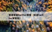 安卓安装twitter教程（安卓twitter安装包）