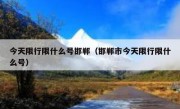 今天限行限什么号邯郸（邯郸市今天限行限什么号）