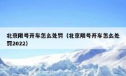 北京限号开车怎么处罚（北京限号开车怎么处罚2022）