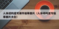 人体结构速写课件描摹图片（人体结构速写临摹图片大全）