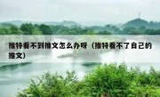 推特看不到推文怎么办呀（推特看不了自己的推文）