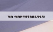辅助（辅助长得好看有什么用电竞）