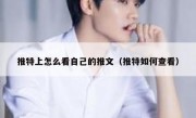 推特上怎么看自己的推文（推特如何查看）