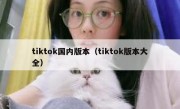 tiktok国内版本（tiktok版本大全）