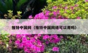 推特中国网（推特中国网络可以用吗）