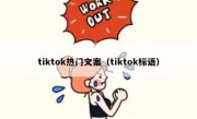 tiktok热门文案（tiktok标语）