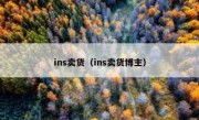 ins卖货（ins卖货博主）
