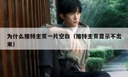 为什么推特主页一片空白（推特主页显示不出来）