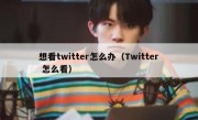 想看twitter怎么办（Twitter 怎么看）