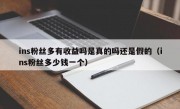 ins粉丝多有收益吗是真的吗还是假的（ins粉丝多少钱一个）