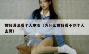 推特没法看个人主页（为什么推特看不到个人主页）