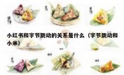 小红书和字节跳动的关系是什么（字节跳动和小米）