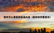 推特怎么看新闻报道内容（推特如何看推文）