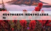 樱花电子锁设置密码（樱花电子锁怎么设置密码）
