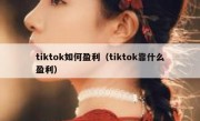 tiktok如何盈利（tiktok靠什么盈利）