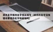 派币名字修改名字怎么填写（派币的名字没有错也要更改名字和邮箱吗）