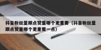 抖音粉丝量跟点赞量哪个更重要（抖音粉丝量跟点赞量哪个更重要一点）