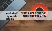 youtube上一万播放量能有多少收入啊（youtube上一万播放量能有多少收入啊知乎）