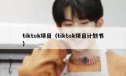 tiktok项目（tiktok项目计划书）