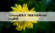 codepay码支付（码支付官网codepay源码）