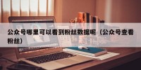 公众号哪里可以看到粉丝数据呢（公众号查看粉丝）