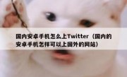 国内安卓手机怎么上Twitter（国内的安卓手机怎样可以上国外的网站）