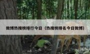 微博热搜榜排行今日（热搜榜排名今日微博）
