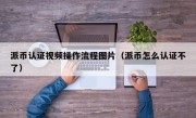 派币认证视频操作流程图片（派币怎么认证不了）