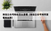 微信公众号粉丝怎么查看（微信公众号如何查看粉丝数）