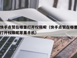 快手点赞在哪里打开权限呢（快手点赞在哪里打开权限呢苹果手机）