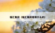 福汇集团（福汇集团是做什么的）