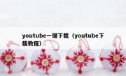 youtube一键下载（youtube下载教程）
