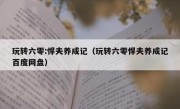 玩转六零:悍夫养成记（玩转六零悍夫养成记百度网盘）