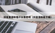 抖音里涨粉是什么意思呀（抖音涨粉能干嘛）