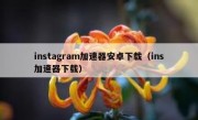 instagram加速器安卓下载（ins加速器下载）