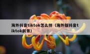 海外抖音tiktok怎么样（海外版抖音tiktok前景）
